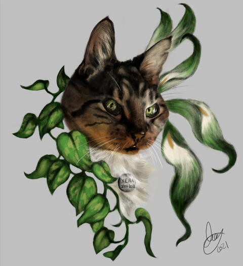 a pet portrait depicting a cat, wearing a tag that says her name and lifespan ( Xena ; 2001 - 2021 ). she is surrounded by green goddess lilies and pothos