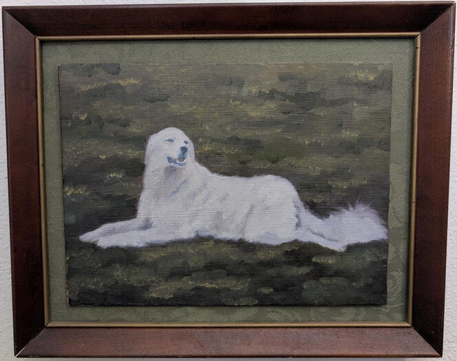 ~2013-14, oils on board against a green fabric matte border framed with a dark reddish brown wooden frame; depicting my late dog, Nymphy, a large purebred great pyrenees lying on her belly on patchy green grass. she looks off to the right with a big smile